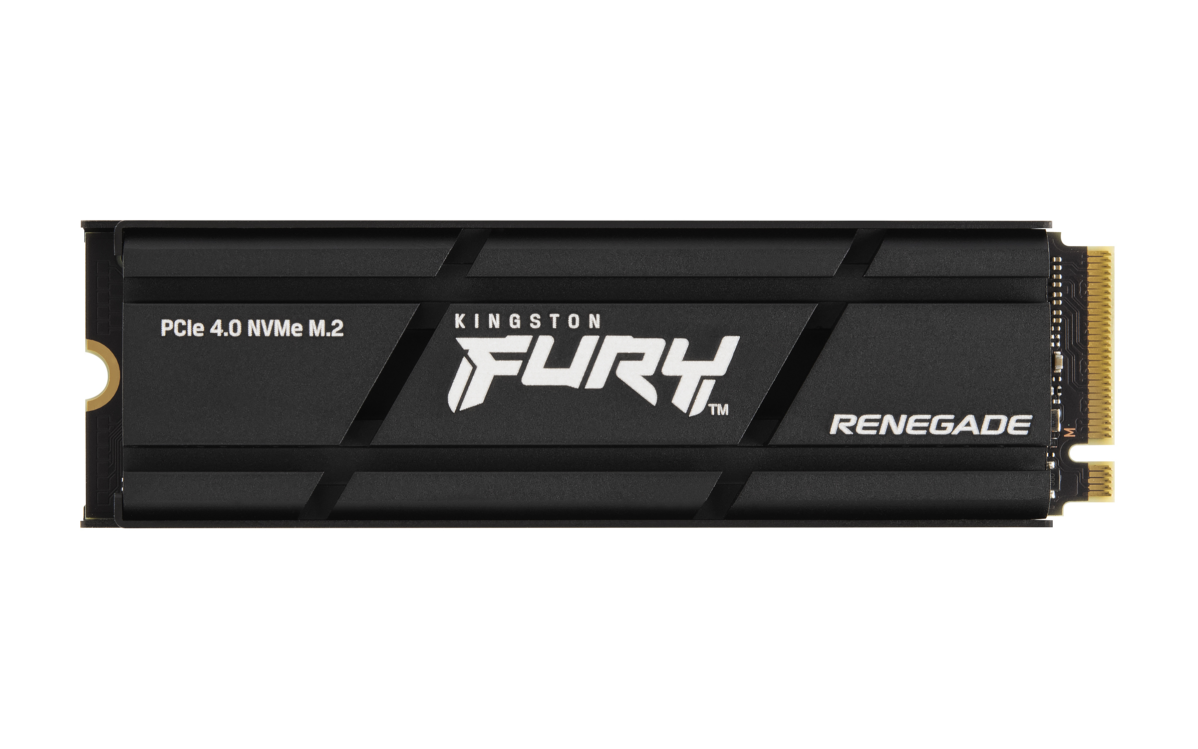 Kingston Technology 500G RENEGADE PCIe 4.0 NVMe SSD M/HEATSINK