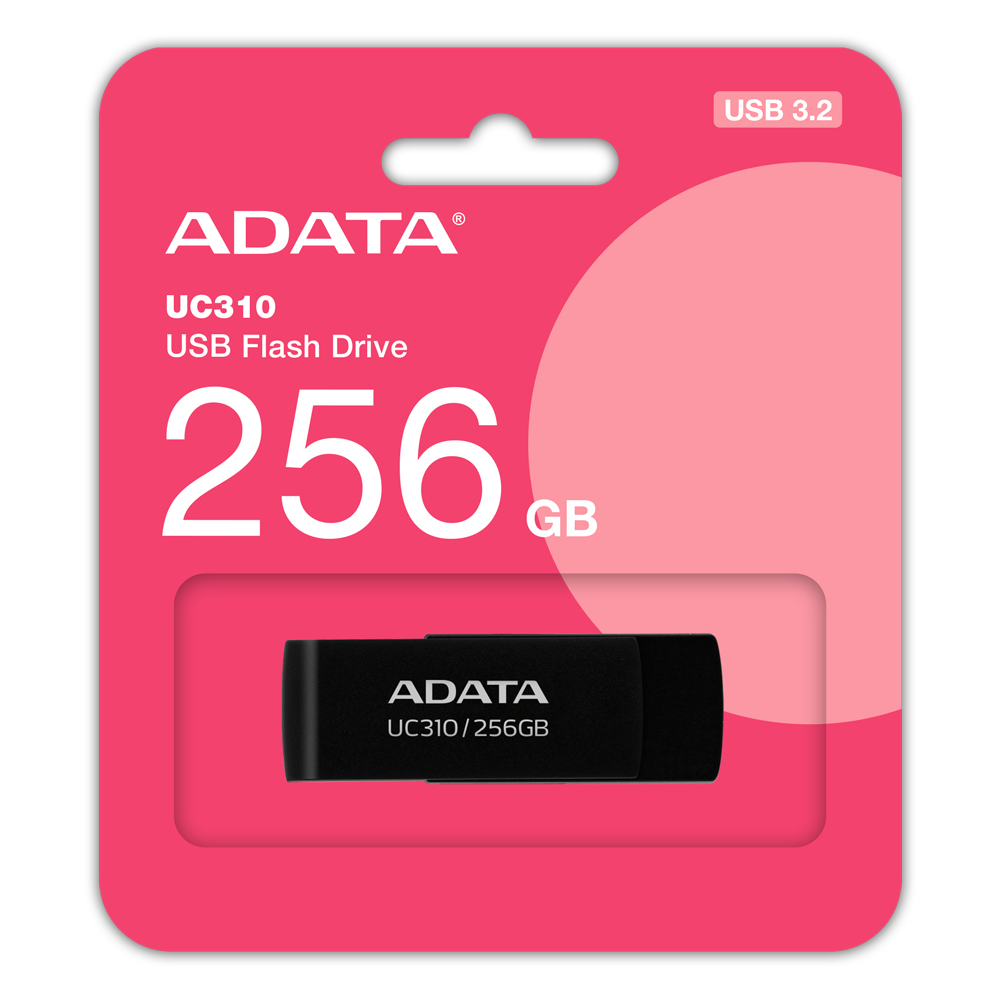 ADATA UC310 USB-nøgle 256 GB USB Type-A 3.2 Gen 1 (3.1 Gen 1) Sort