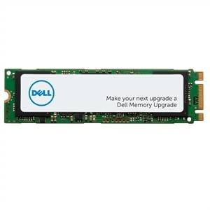 DELL 546VP intern solid state drev 256 GB M.2 PCI Express