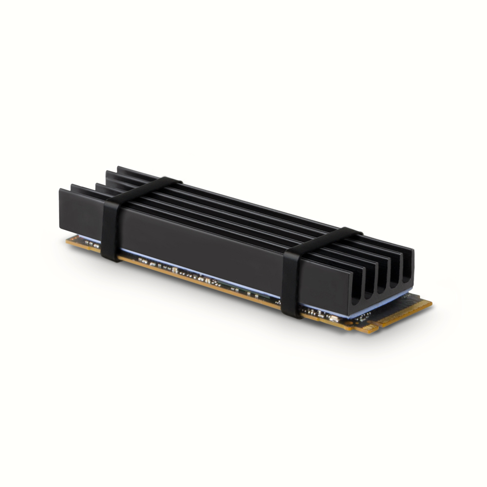 Axagon CLR-M2L10 Computerkølesystem M.2 NVMe SSD, Solid-state drev Køleplade/køler Sort 1 stk