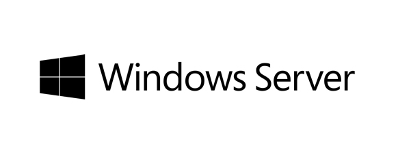 Fujitsu Windows Server 2019 CAL Client Access License (CAL) 10 licens(er)