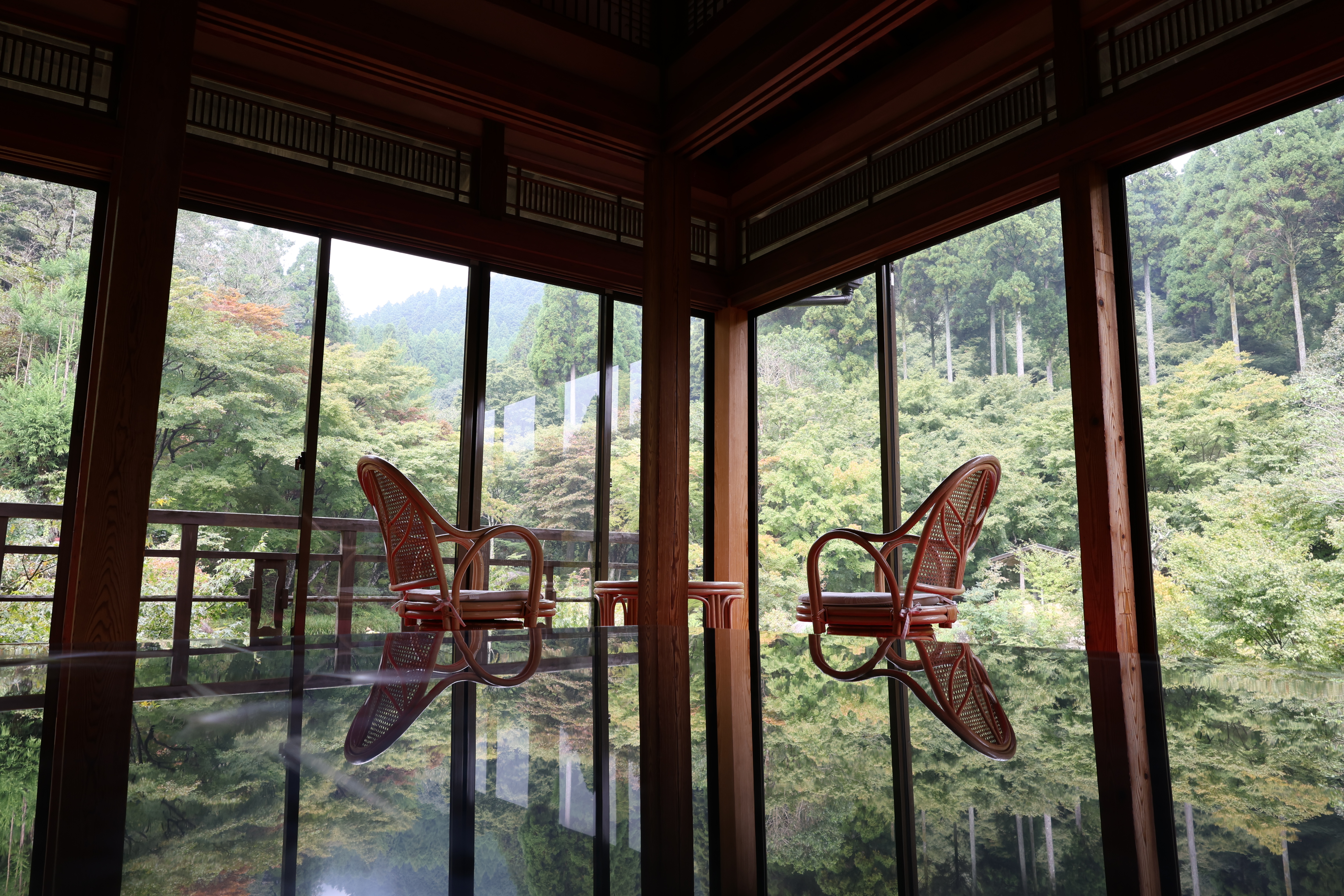 Canon RF 24-50mm F4.5-6.3 IS STM MILC Standard zoomlinse Sort