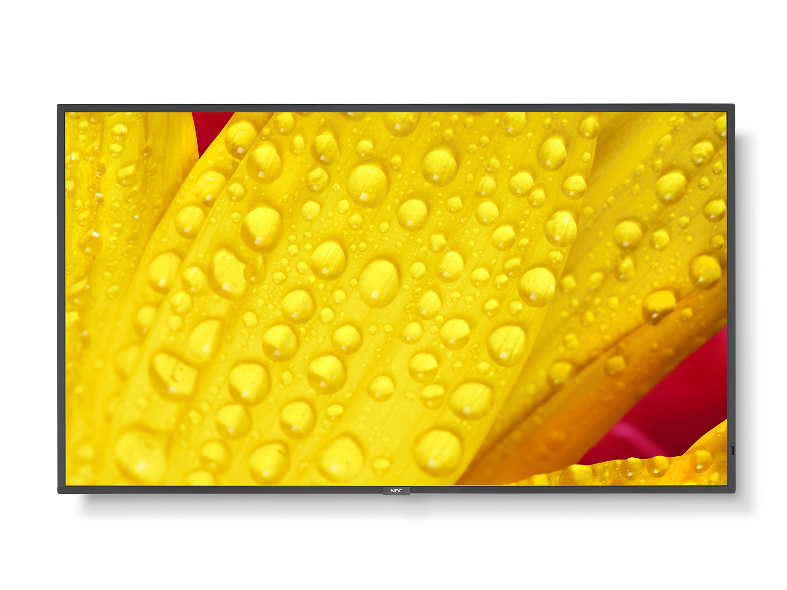 NEC MultiSync ME431 Digital fladpaneldisplay 109,2 cm (43") IPS 400 cd/m² 4K Ultra HD Sort 18/7