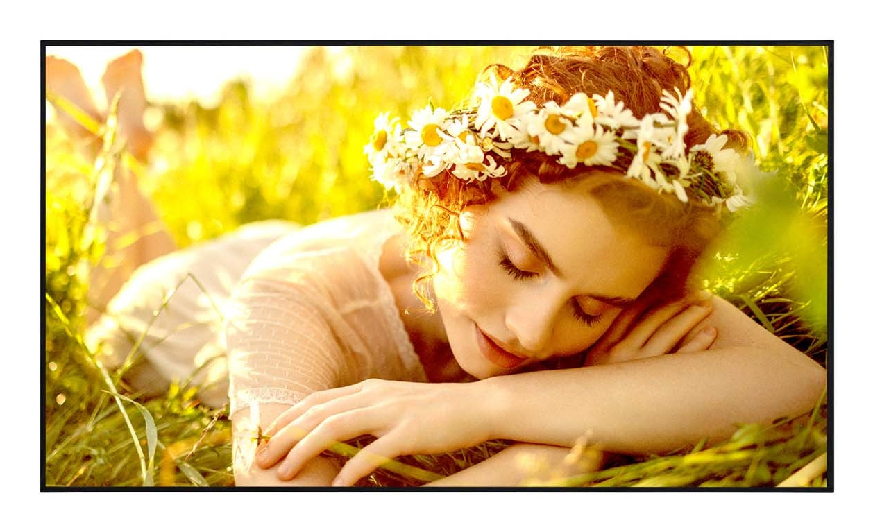 LG 43UL5Q-E skilte display Digital fladpaneldisplay 109,2 cm (43") LED Wi-Fi 350 cd/m² 4K Ultra HD Sort WebOS 24/7