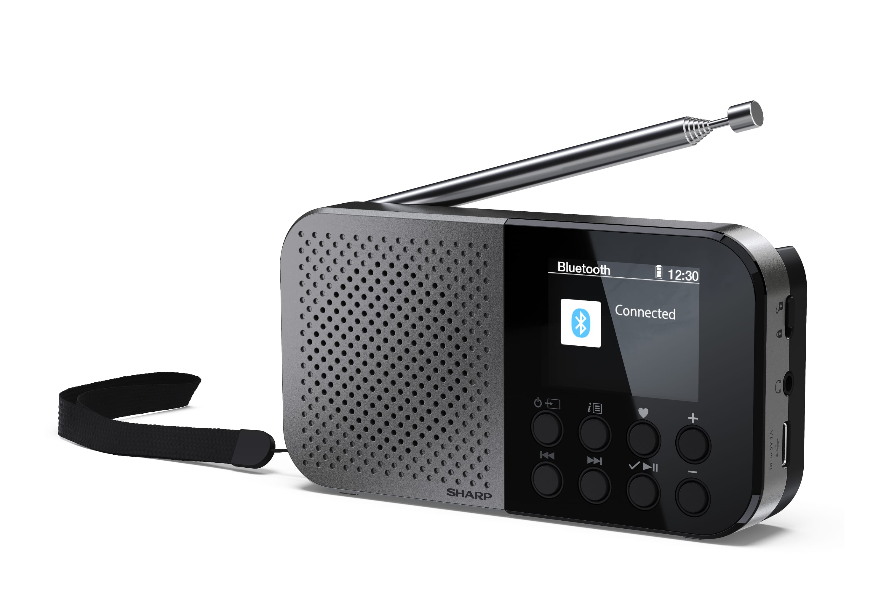 Sharp DR-P520 Personligt Digital Grå