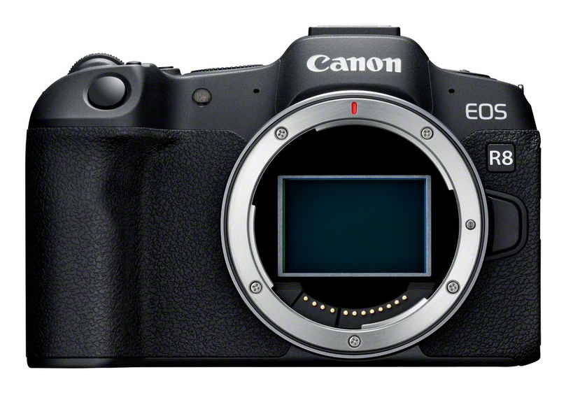 Canon EOS R8 + RF 24-50mm F4.5-6.3 IS STM Kit MILC 24,2 MP CMOS 6000 x 4000 pixel Sort
