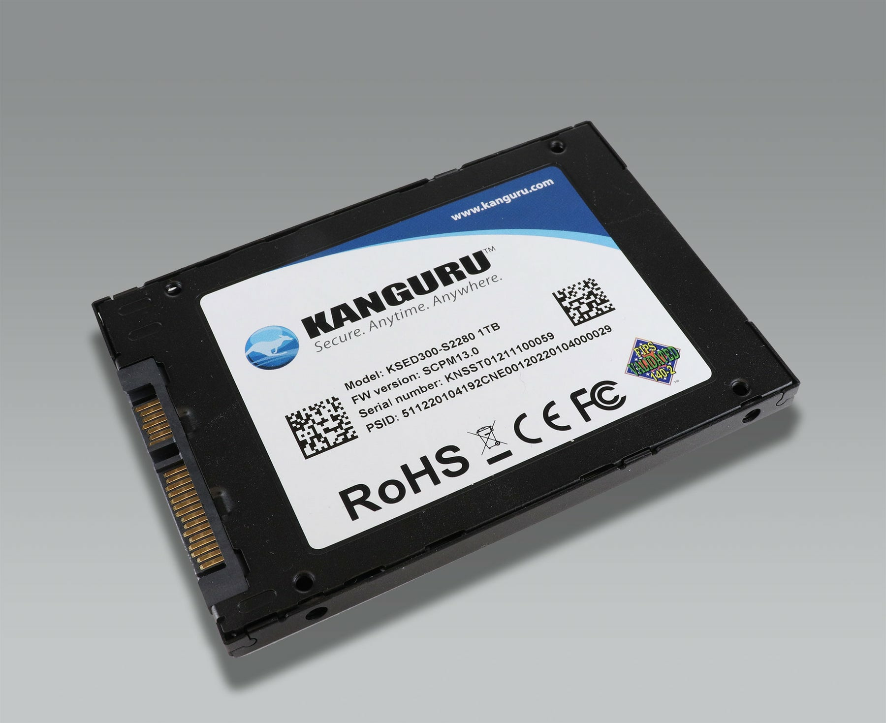 iStorage Kanguru SED300 500 GB 2.5" SATA 3D TLC