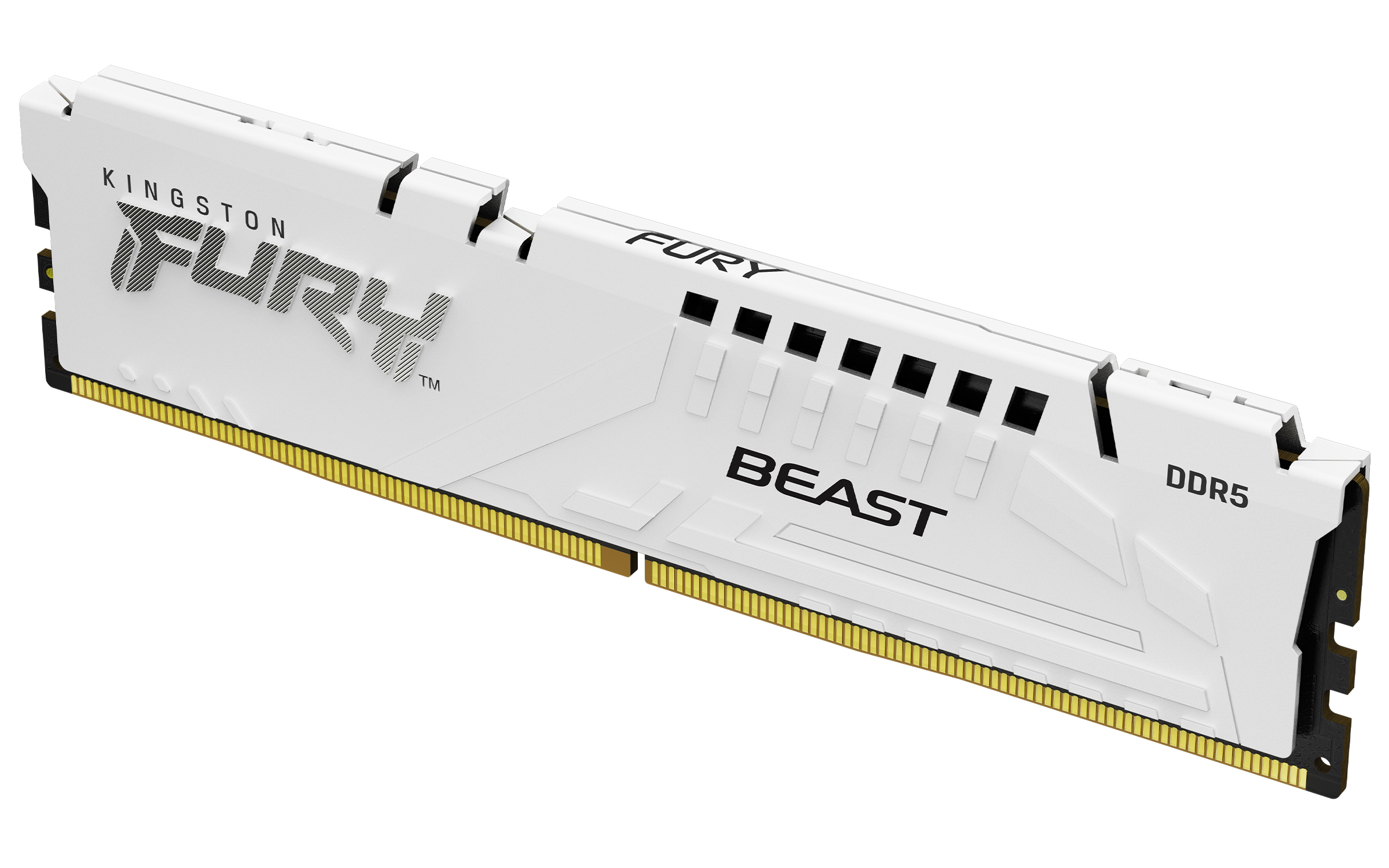 Kingston Technology FURY Beast 16GB 6000MT/s DDR5 CL36 DIMM White EXPO