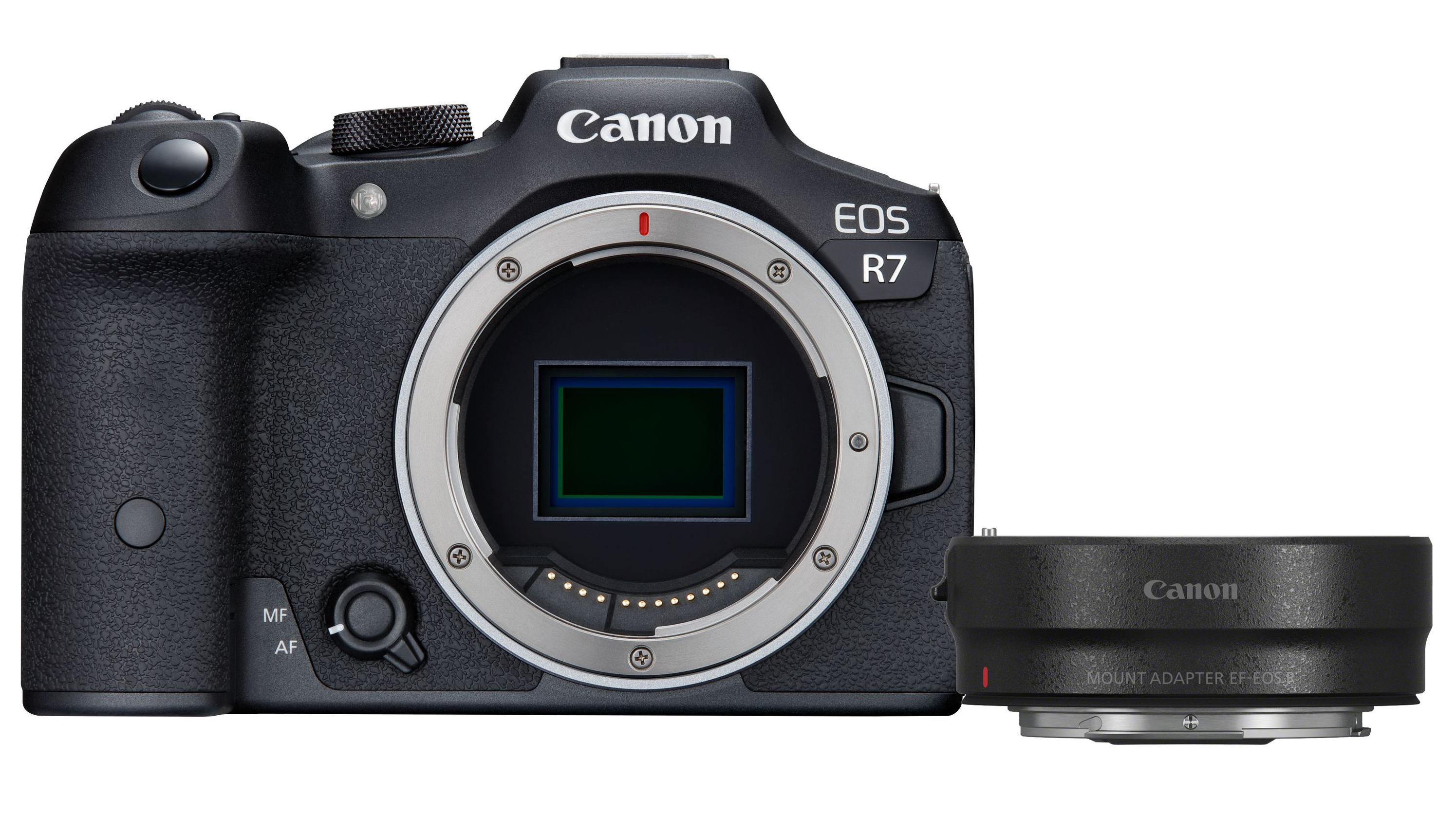 Canon EOS R7 + EF- R MILC krop 32,5 MP CMOS 6960 x 4640 pixel Sort
