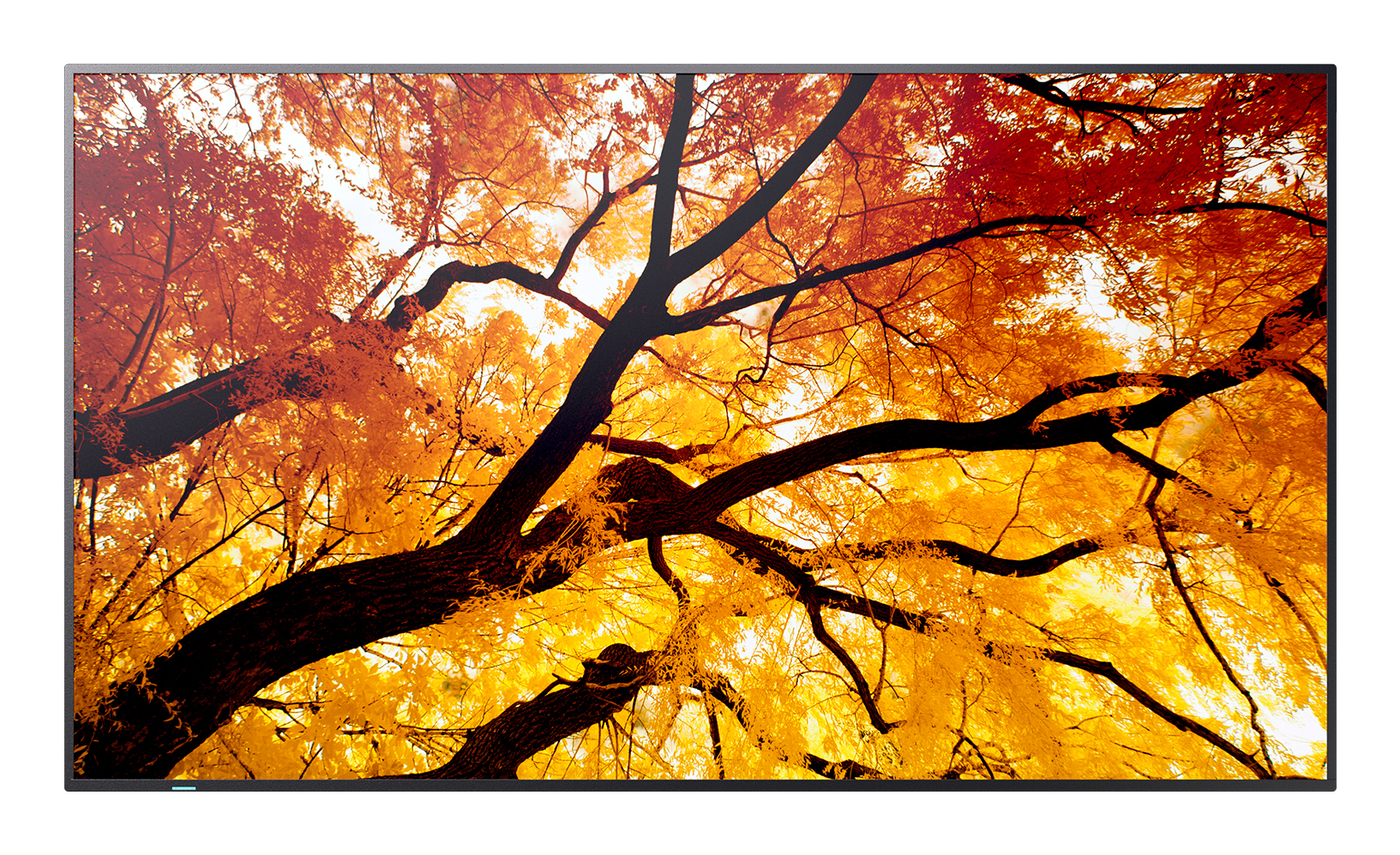 Sharp MultiSync M862 Digital fladpaneldisplay 2,18 m (86") LCD 550 cd/m² 4K Ultra HD Sort 24/7