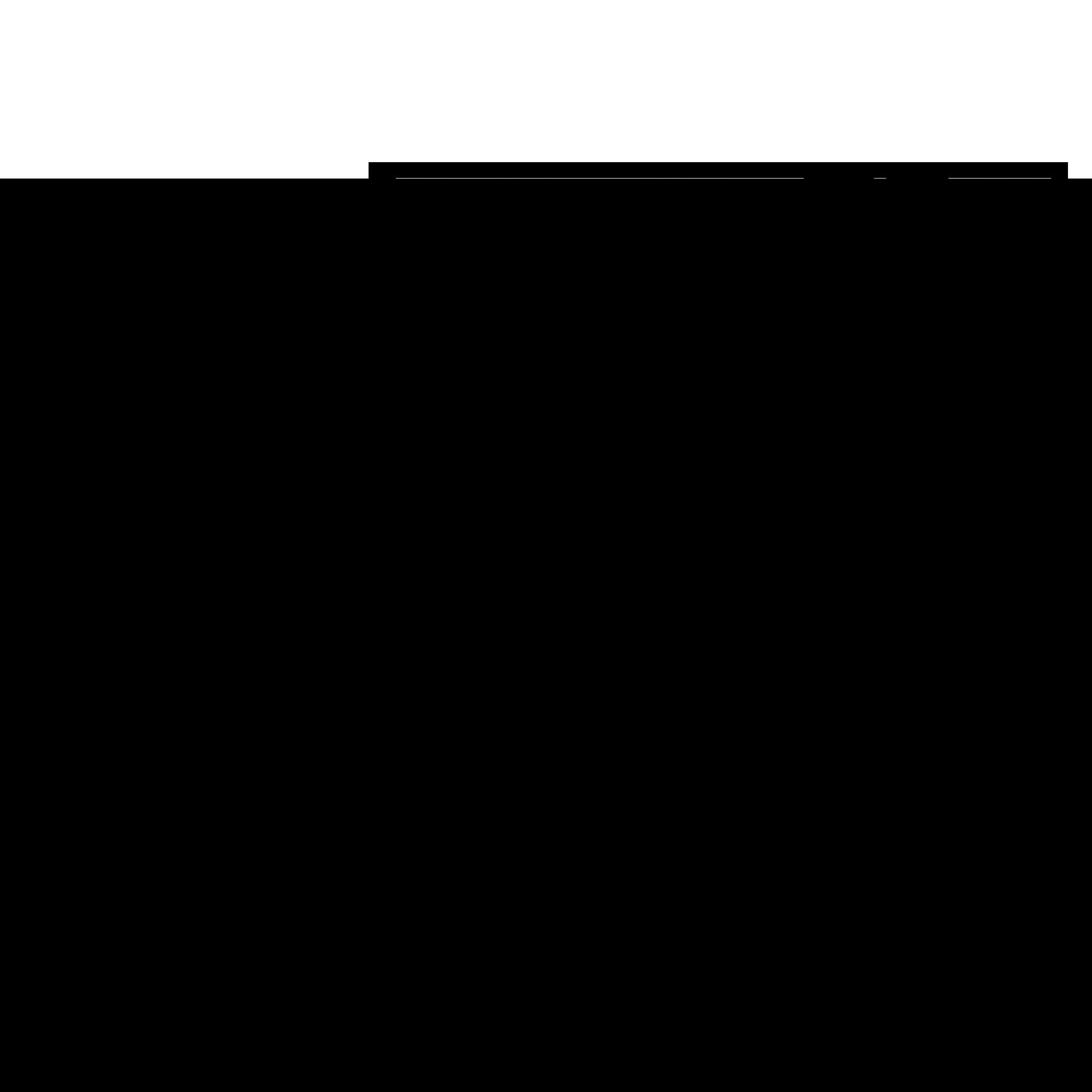 ADATA C20 Lithium polymer (LiPo) 20000 mAh Sort