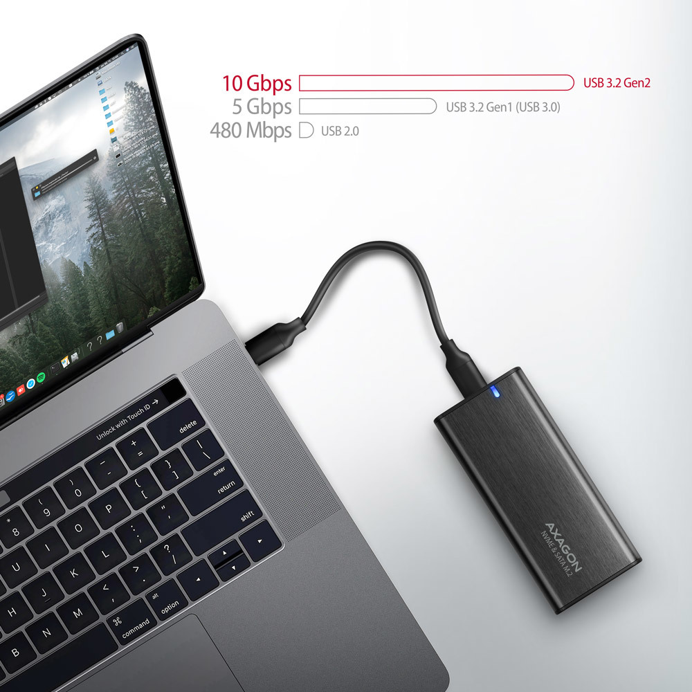 Axagon EEM2-SB2 drevkabinet SSD kabinet Sort M.2