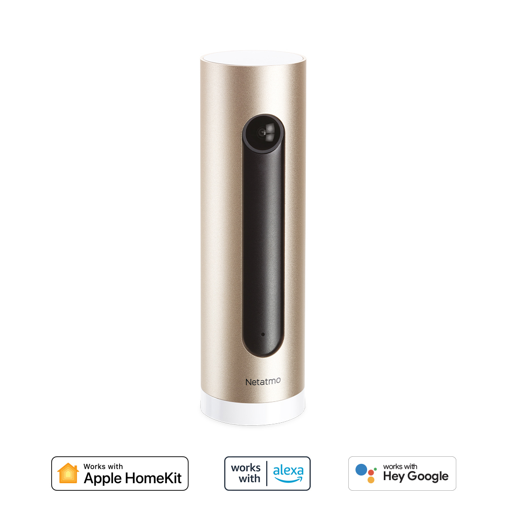 Netatmo Welcome IP-sikkerhedskamera Indendørs 1920 x 1080 pixel Skrivebord