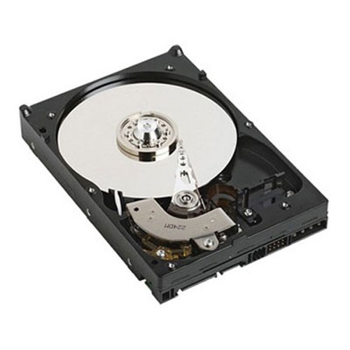 DELL 2T51W harddisk 3.5" 1 TB Serial ATA III