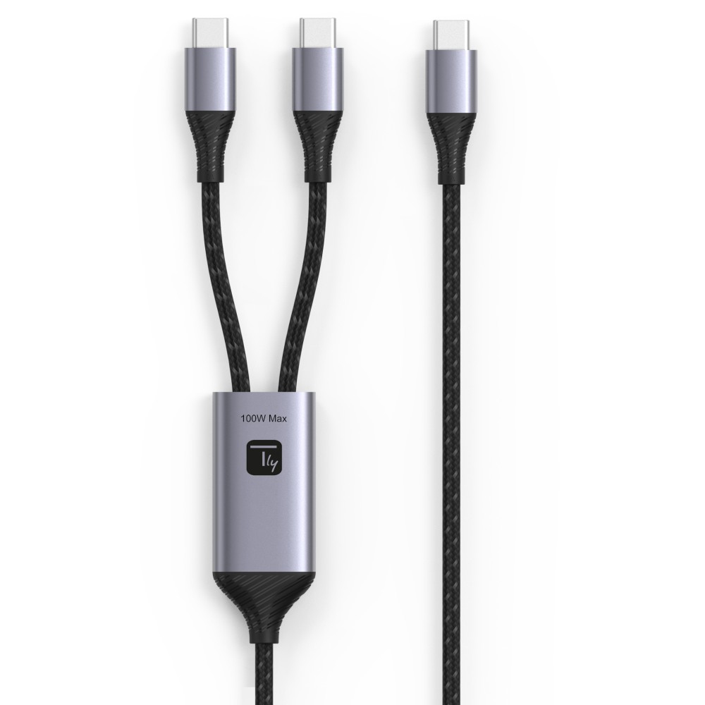 Techly ICOC MU2C-2C100W USB-kabel USB 2.0 1,5 m USB C 2 x USB C Sort, Grå