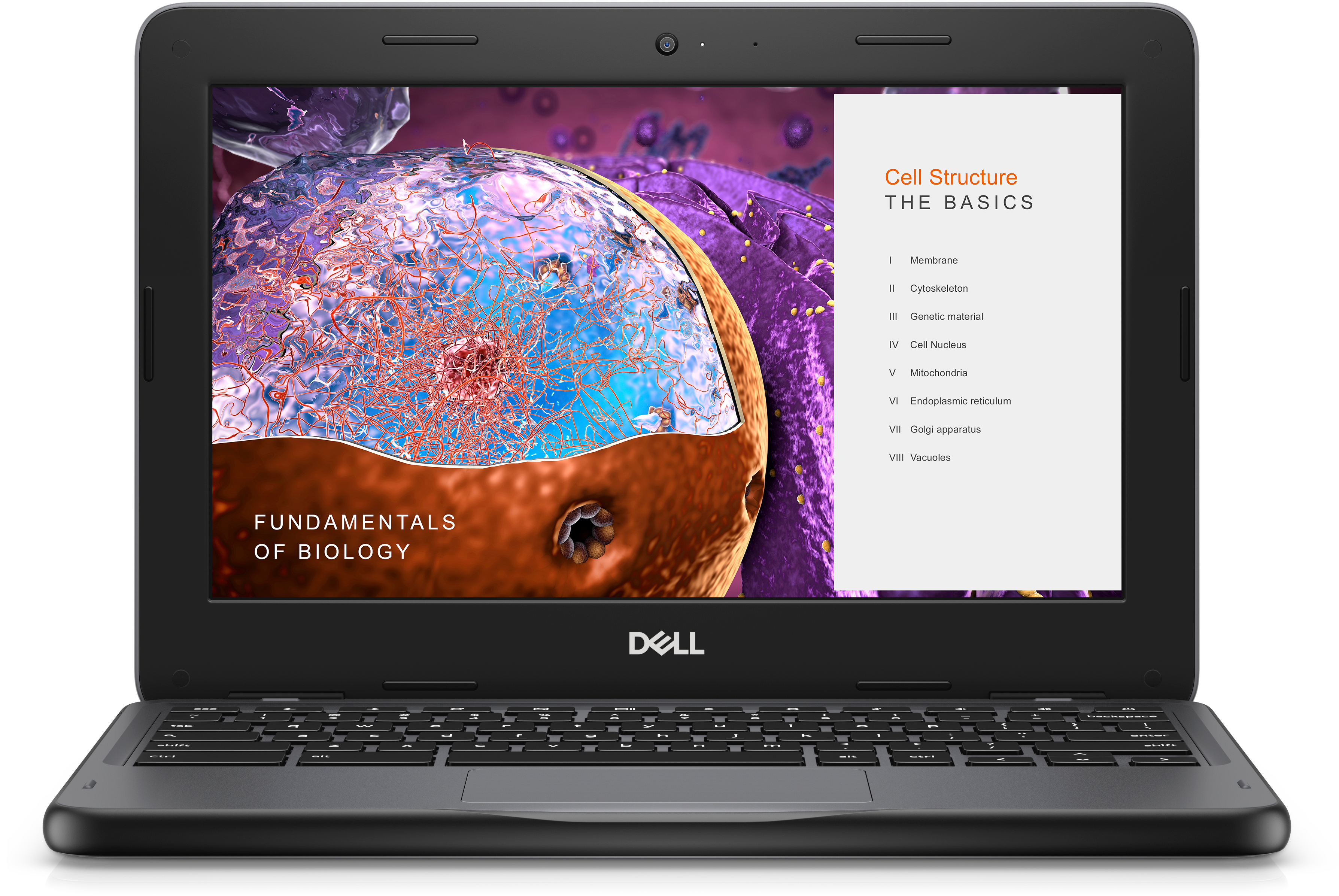 DELL Chromebook 3110 Intel® Celeron® N N4500 29,5 cm (11.6") HD 4 GB LPDDR4x-SDRAM 64 GB eMMC Wi-Fi 6 (802.11ax) ChromeOS Sort