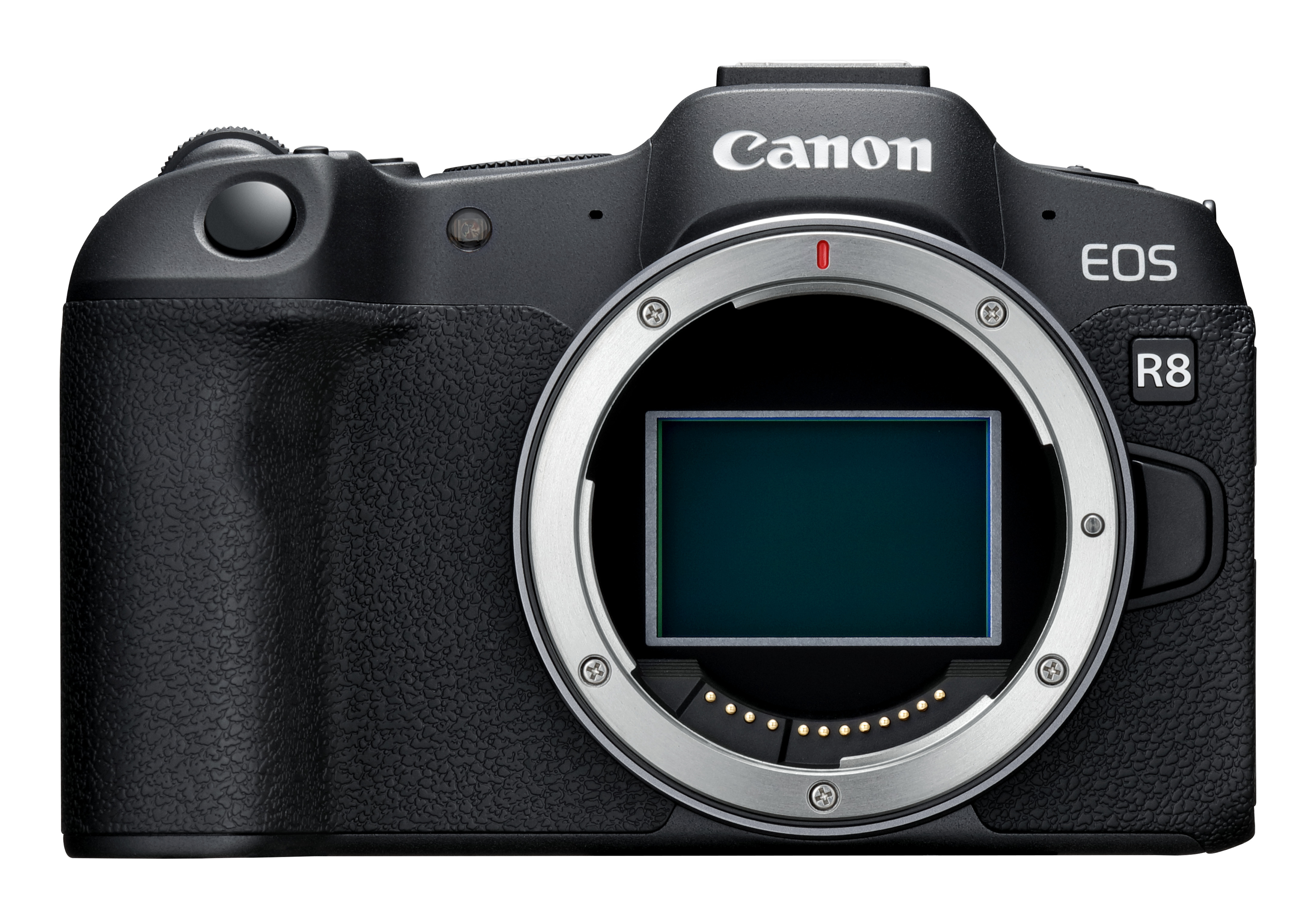 Canon EOS R8 MILC 24,2 MP CMOS 6000 x 4000 pixel Sort