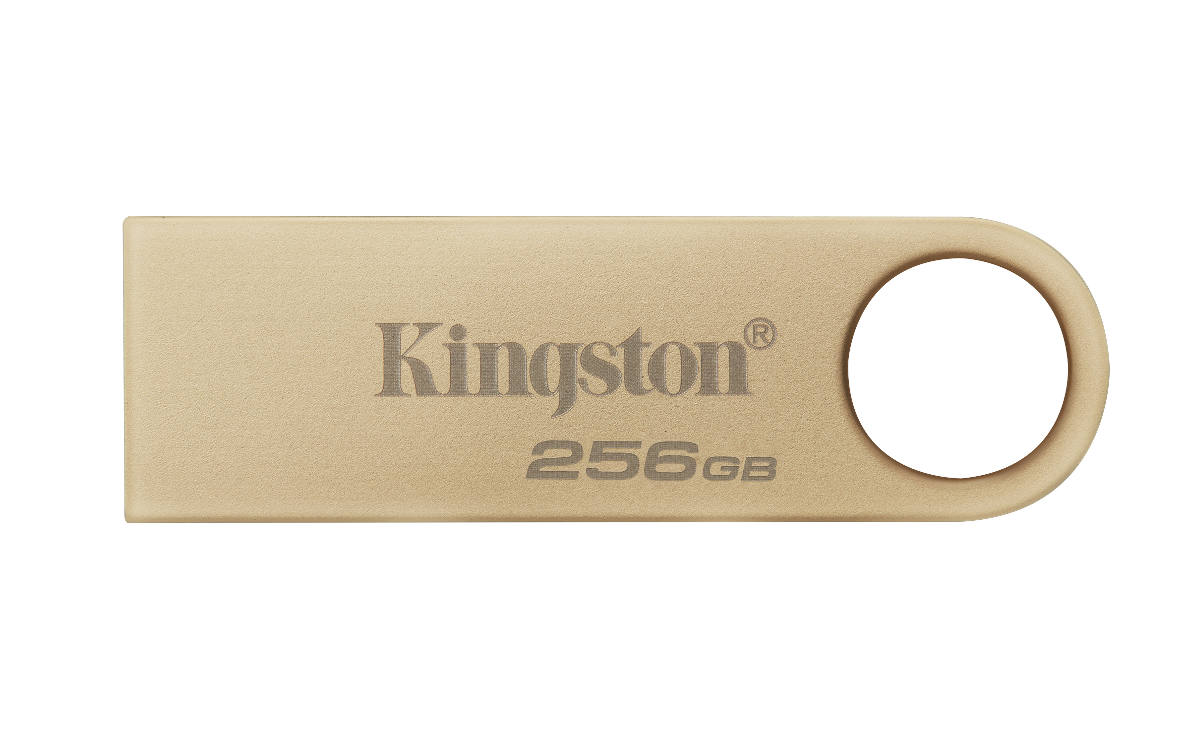 Kingston Technology DataTraveler 256 GB 220 MB/s Metal USB 3.2 Gen 1 SE9 G3