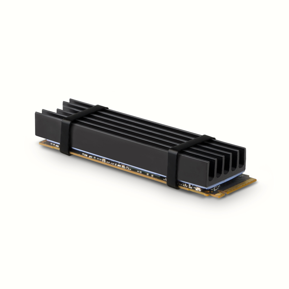Axagon CLR-M2L10 Computerkølesystem M.2 NVMe SSD, Solid-state drev Køleplade/køler Sort 1 stk